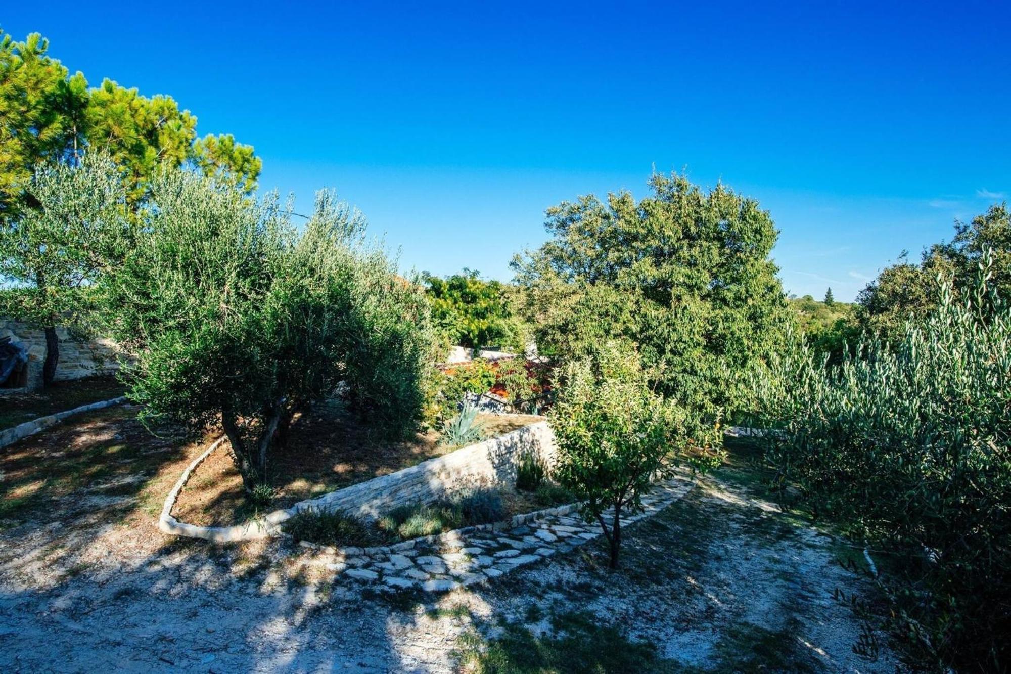 My Dalmatia - Holiday Home Korlat With Private Pool Бенковац Екстериор снимка